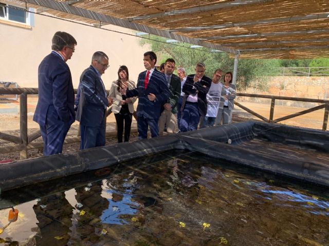La Comisión de Seguimiento de Portmán acuerda la regeneración de la bahía de manera integral y que incluya playa y puerto - 2, Foto 2