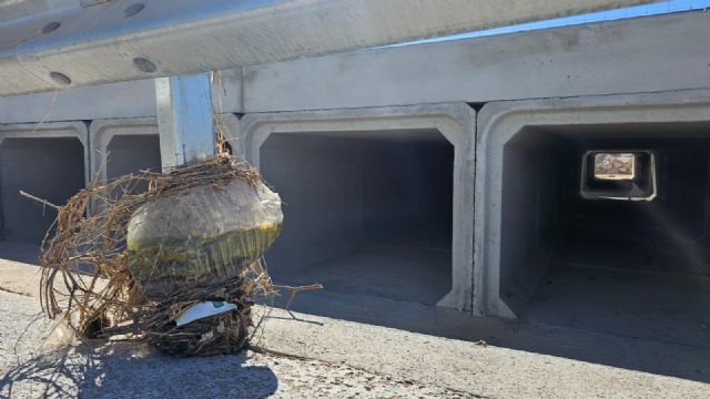 Los Alcázares solicita la paralización de la fase 1 de las obras de drenaje en la RM-19 por el riesgo de nuevas inundaciones - 2, Foto 2