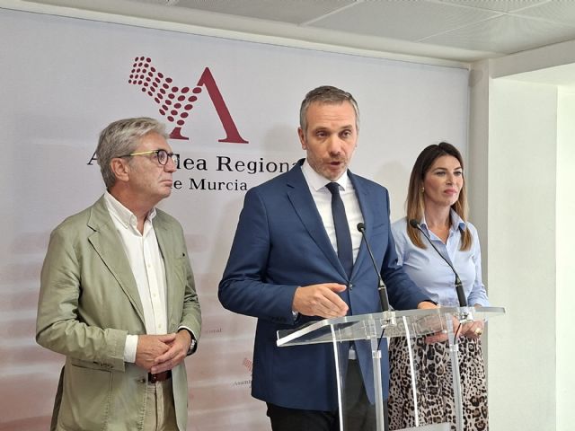 El PP denuncia que la pinza PSOE-Vox impone en la Asamblea su estrategia contra el Partido Popular y rompe la proporcionalidad surgida de las urnas - 1, Foto 1