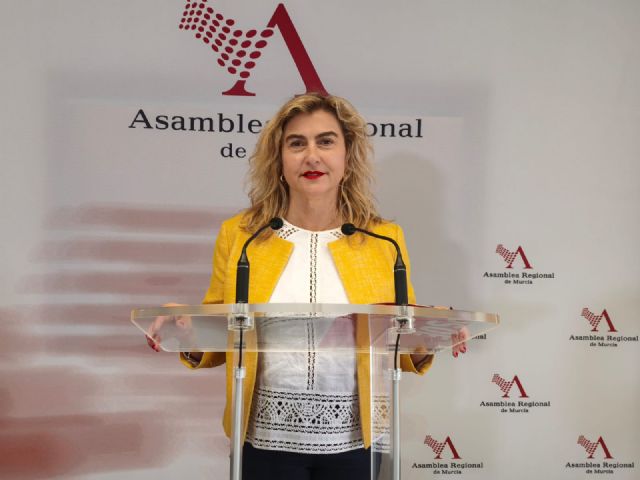 Carmina Fernández: El PP repite el mismo patrón en todos los lugares donde gobierna con recortes, mala gestión y mentiras para tratar de tapar su incompetencia - 1, Foto 1