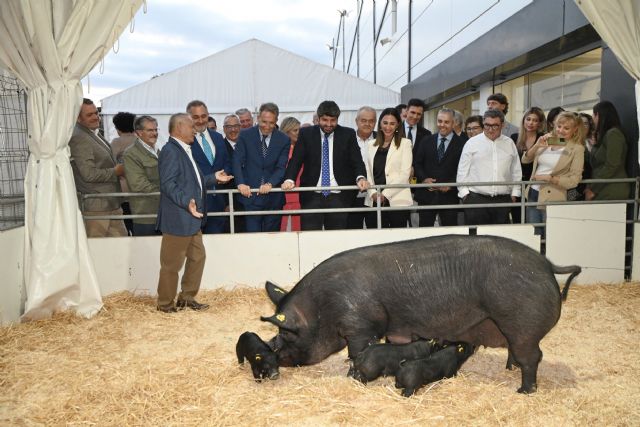 La Región de Murcia ha exportado animales vivos por valor de casi 160 millones en lo que va de año - 2, Foto 2