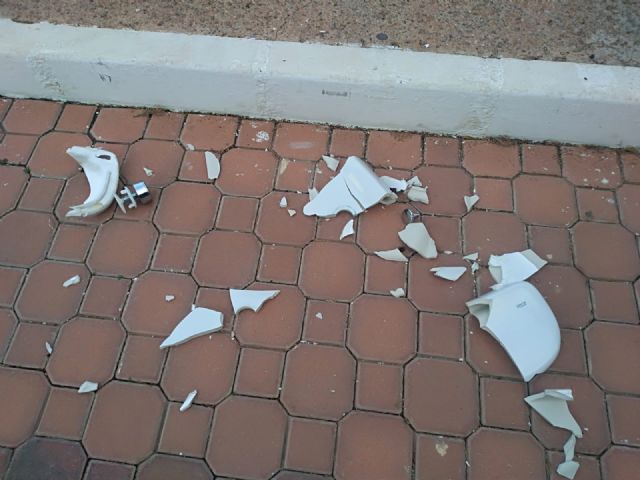 Actos vandálicos en el Campo Santo de Águilas - 2, Foto 2