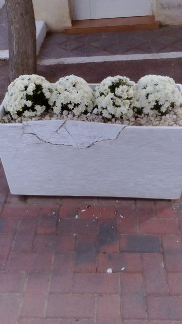 Actos vandálicos en el Campo Santo de Águilas - 4, Foto 4