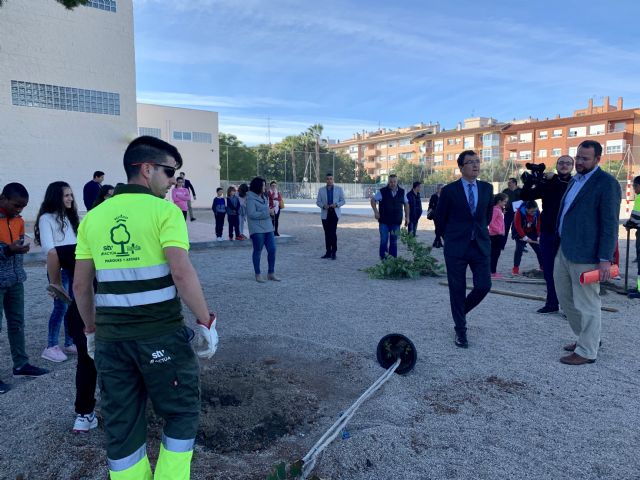 Más de 20.000 escolares de un centenar de colegios dispondrán de nuevos espacios de sombra gracias al Plan Foresta 2030 - 3, Foto 3