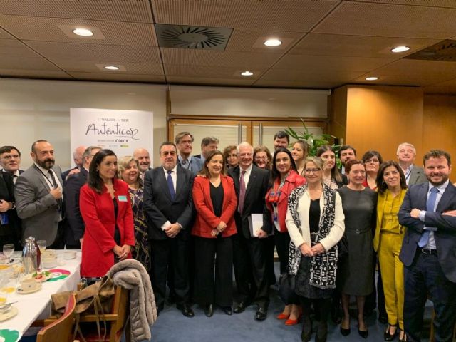 El Parlamento Europeo se apoya en el Grupo Social ONCE para mejorar la calidad de vida de 80 millones de europeos con discapacidad - 2, Foto 2