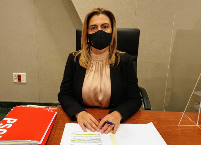 Carmina Fernández: El Gobierno regional se ha borrado de la ZAL de Los Camachos - 1, Foto 1