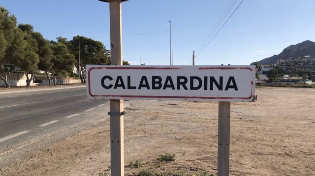 Navarro: En octubre de 2020 el PSOE votó en contra de la instalación de cámaras de vídeo vigilancia en la pedanía de Calabardina - 1, Foto 1