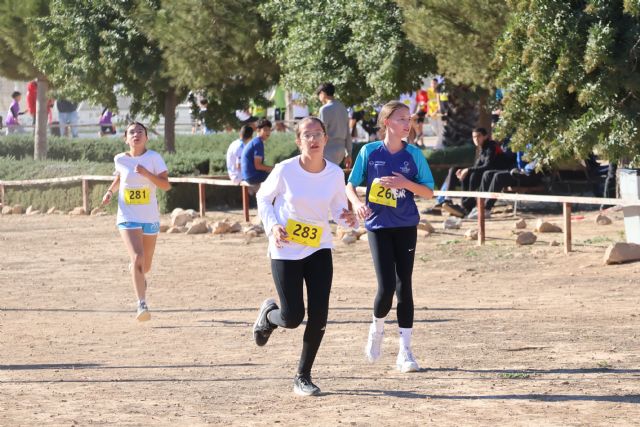 Más de 500 escolares participan en la jornada municipal de Campo a través - 2, Foto 2