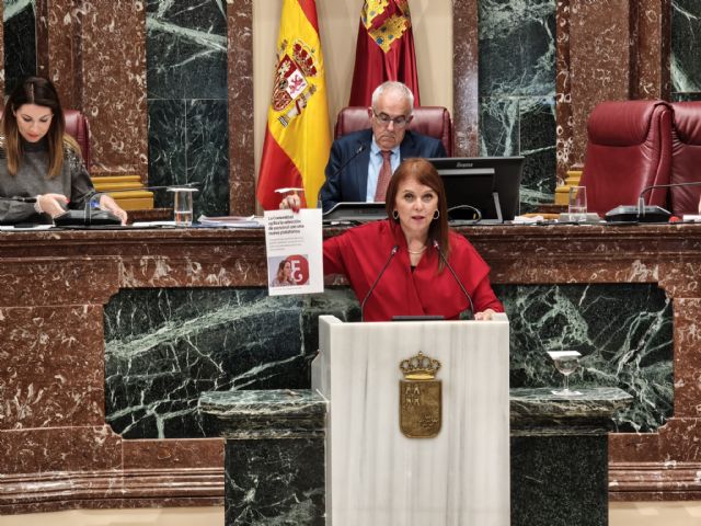 El PSOE visibiliza en la Asamblea Regional el maltrato institucional y de género de la consejería de Educación a las Auxiliares Técnicas Educativas - 1, Foto 1