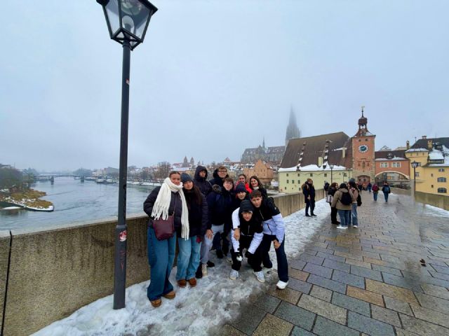 Una veintena de estudiantes del IES Rey Carlos III viven una experiencia Erasmus en Alemania - 4, Foto 4