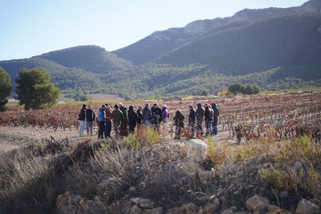 AFAMMER y Legados trabajan en Murcia para recuperar el suelo agrícola - 2, Foto 2