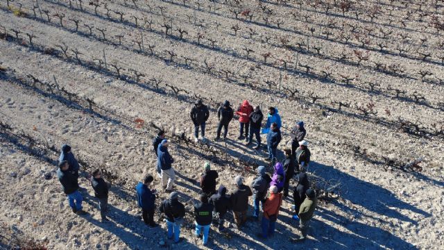 AFAMMER y Legados trabajan en Murcia para recuperar el suelo agrícola - 3, Foto 3