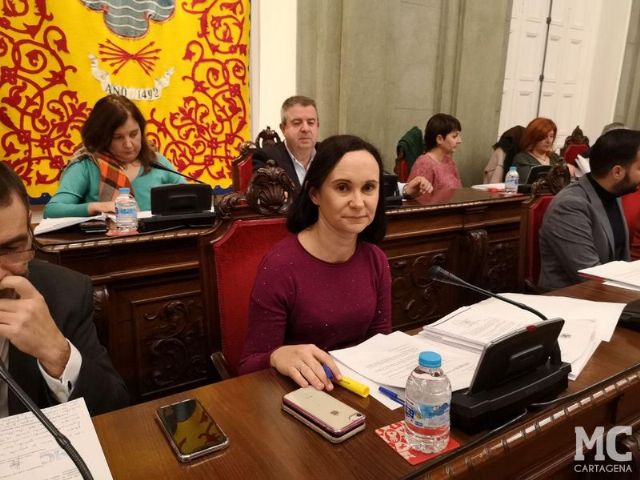 Castejón continúa castigando a los vecinos y deja sin ejecutar el 80% de las enmiendas de MC al Presupuesto de 2018 - 5, Foto 5