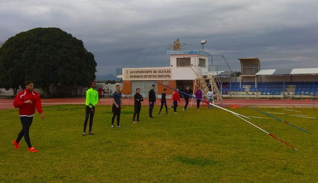 El 4 de enero, la jabalina arranca el año trabajando - 1, Foto 1
