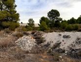 Somos Juventud denuncia la proliferación de vertederos incontrolados en Caravaca - 1, Foto 1