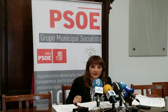 PSOE: Cuando Jódar dice cada vez una cosa distinta es porque no sabe de lo que habla - 1, Foto 1
