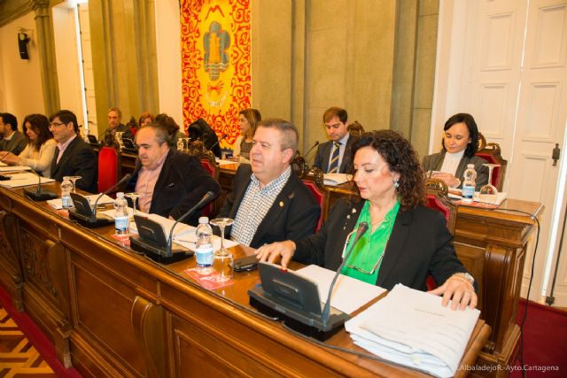 El pleno pide la conexión directa de pasajeros y mercancías con Alicante - 1, Foto 1