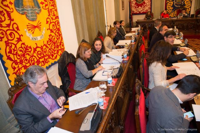 El pleno pide la conexión directa de pasajeros y mercancías con Alicante - 3, Foto 3