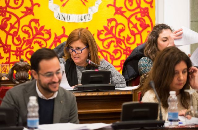 El pleno pide la conexión directa de pasajeros y mercancías con Alicante - 4, Foto 4