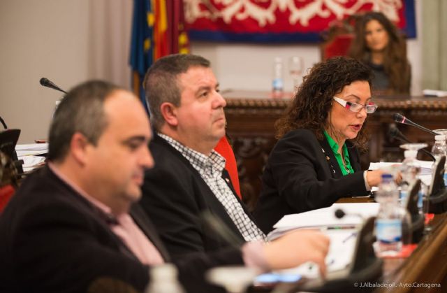 El pleno pide la conexión directa de pasajeros y mercancías con Alicante - 5, Foto 5