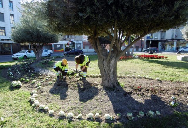 Más de 1.800 flores decoran la Avenida Ciudad de Almería de Murcia - 1, Foto 1