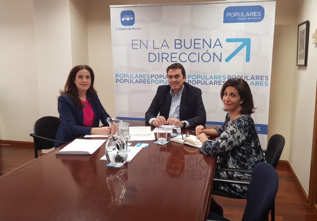 Los diputados nacionales del PP abordan con la presidenta de la Asociación de Altas Capacidades Intelectuales propuestas para incorporar al  Pacto de Estado por la Educación - 1, Foto 1