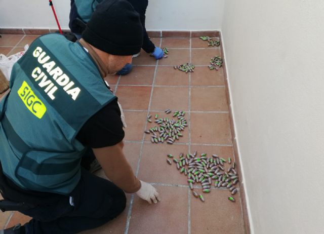 La Guardia Civil desmantela una organización criminal dedicada al tráfico de menores extranjeros y de droga - 2, Foto 2