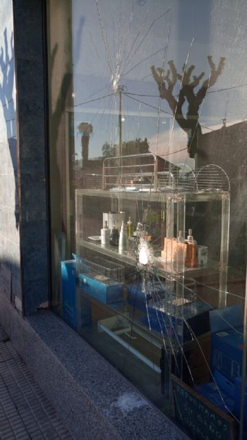 Apedrean el negocio de un afiliado de Vox en Lorca - 5, Foto 5