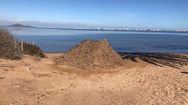 Así limpian minuciosamente las playas del Mar Menor - 4, Foto 4