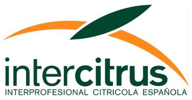 Intercitrus alerta que la detección del vector asiático del HLB en Israel obliga a la UE a dar un giro a su política fitosanitaria - 1, Foto 1