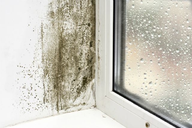 El riesgo de padecer humedades en las viviendas aumenta hasta un 40% en los meses de invierno - 1, Foto 1