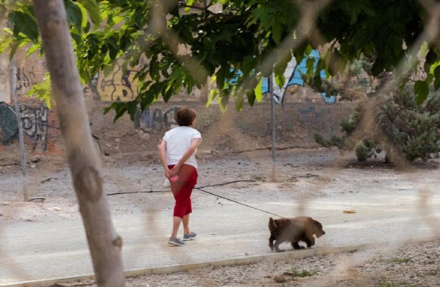 La Policía Local pone en marcha una nueva campaña de control de animales de compañía - 1, Foto 1