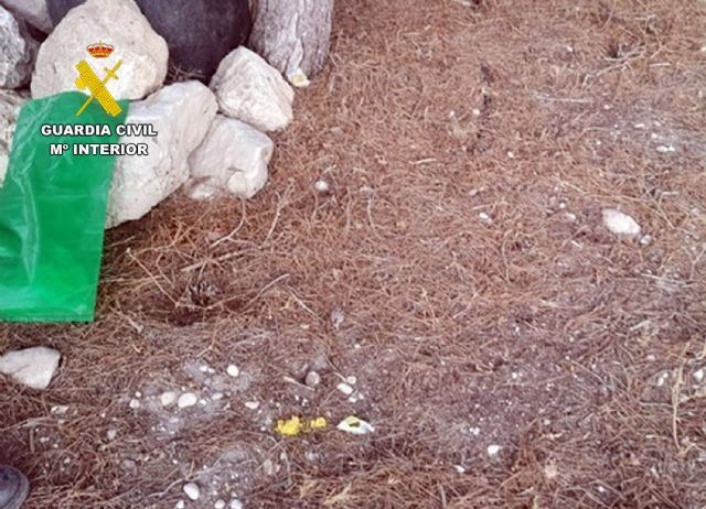La Guardia Civil investiga al responsable de una finca de Fortuna por el uso sin control de veneno raticida - 1, Foto 1
