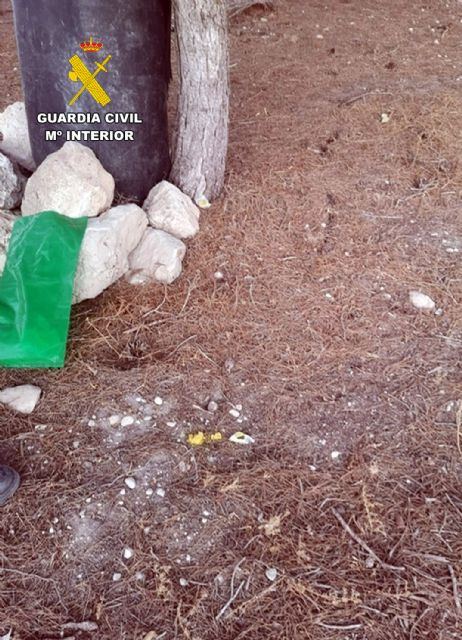 La Guardia Civil investiga al responsable de una finca de Fortuna por el uso sin control de veneno raticida - 2, Foto 2