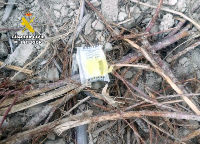 La Guardia Civil investiga al responsable de una finca de Fortuna por el uso sin control de veneno raticida - 3, Foto 3