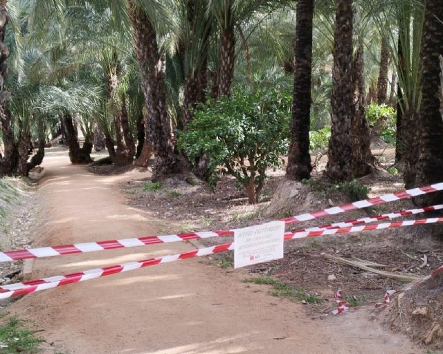 El Ayuntamiento de Murcia activa dispositivo especial ante el aviso amarillo por vientos - 2, Foto 2
