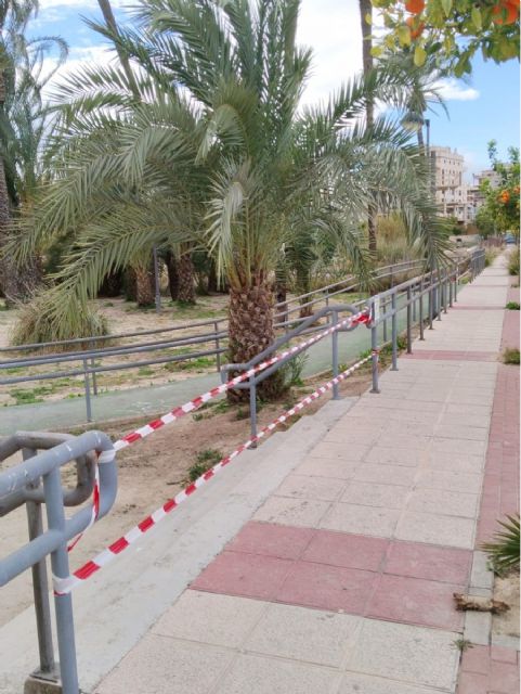 El Ayuntamiento de Murcia activa dispositivo especial ante el aviso amarillo por vientos - 3, Foto 3