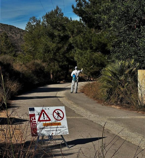 La Comunidad inicia este viernes los tratamientos terrestres contra la procesionaria del pino en montes públicos de uso recreativo - 2, Foto 2