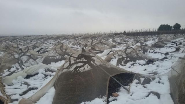 Pedro Antonio Sánchez anuncia una línea de ayudas para reparar daños en las explotaciones agrícolas afectadas por las nevadas