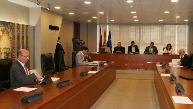 El PSOE cree que la gestión de la Consejería en el Mar Menor no va en buena dirección y reclama que la Comisión parlamentaria se reúna más a menudo - 3, Foto 3