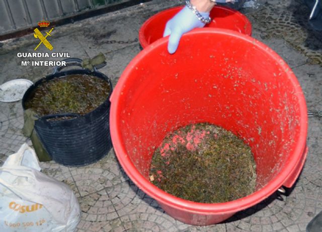 La Guardia Civil desmantela un activo punto de elaboración y venta al menudeo de distintas sustancias estupefacientes - 1, Foto 1