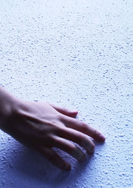 La Universidad de Murcia se deja acariciar por los sonidos en una instalación que se expone desde mañana en Convalecencia - 1, Foto 1