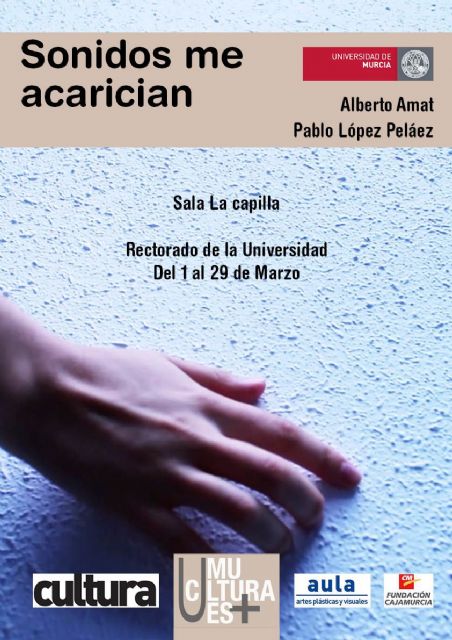 La Universidad de Murcia se deja acariciar por los sonidos en una instalación que se expone desde mañana en Convalecencia - 2, Foto 2