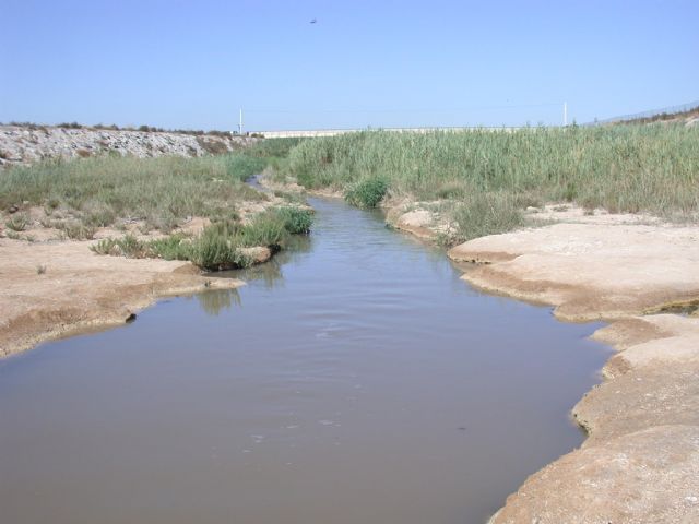 Expertos de la Universidad de Murcia advierten sobre  la salinización de los ríos - 1, Foto 1