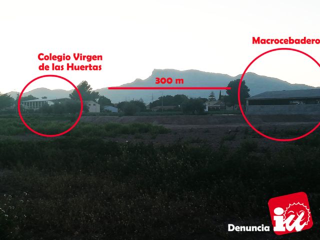 IU-Verdes pide que se clarifique la situación de un macrocebadero a 300 metros del CP Virgen de las Huertas - 3, Foto 3