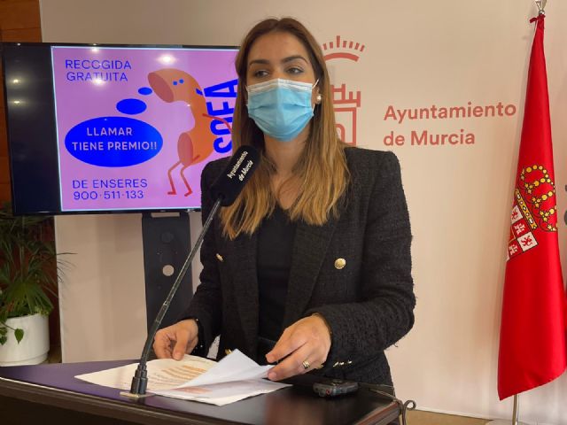 El Ayuntamiento lanza una nueva iniciativa para fomentar el uso del servicio gratuito de recogida de enseres - 1, Foto 1