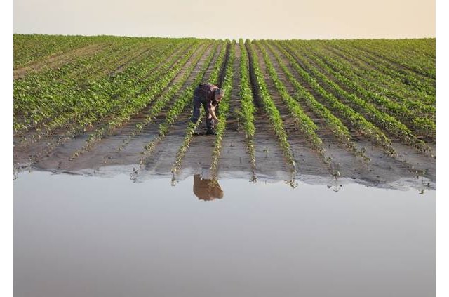 Tras un invierno extremadamente seco, en unos días podrían producirse las esperadas lluvias., Foto 1
