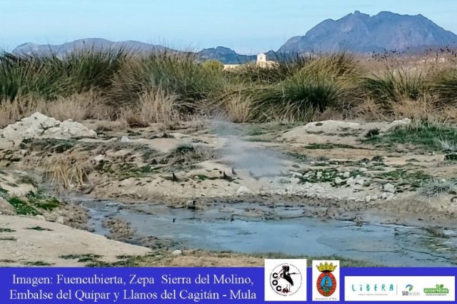 Testing fotográfico para identificar flora y fauna en Fuencubierta - 1, Foto 1