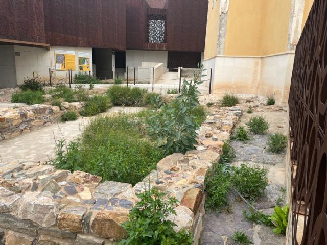 La maleza coloniza los restos romanos de Monteagudo debido a la dejadez del alcalde socialista - 2, Foto 2