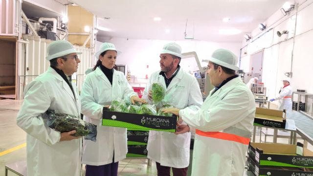 El Gobierno regional desarrolla a través del Imida un proyecto de 'Mejora de calidad de variedades murcianas de lechuga' - 1, Foto 1